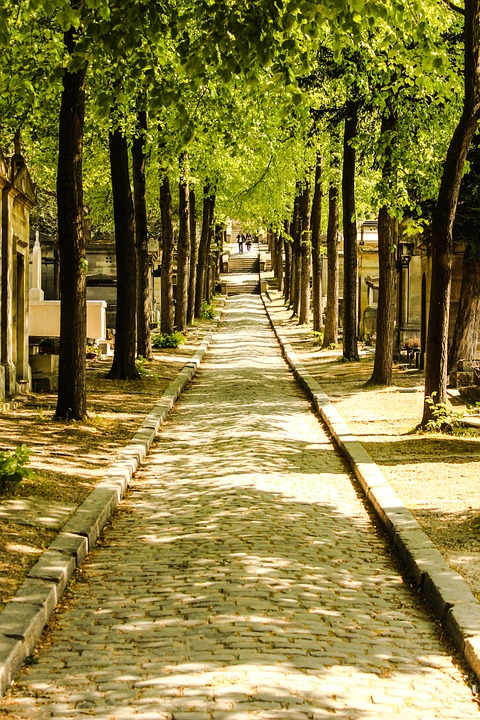 paris tree graveyard