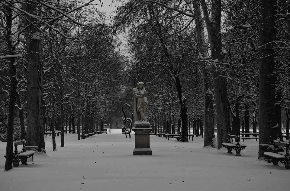 paris tree snow