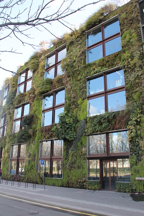 wall garden